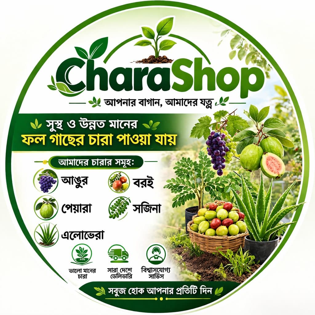 বদলে যাচ্ছে গ্রামীণ জীবনঃ চারা শপ
